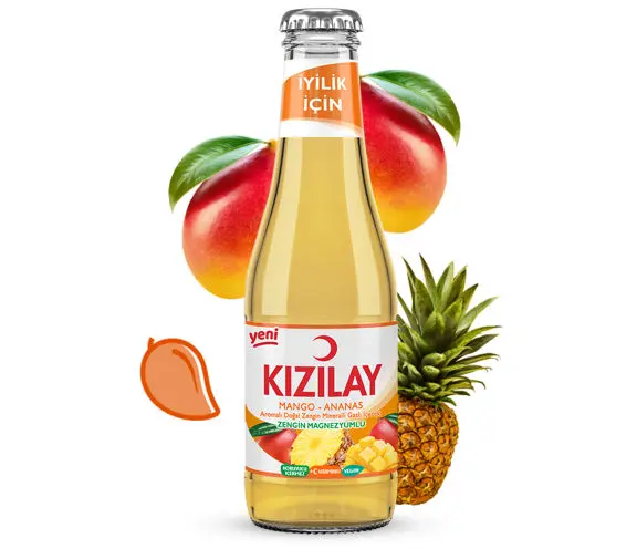 KIZILAY MANGO - ANANAS 20CL*24